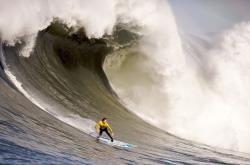 开云登录入口 -哈登官方宣布爆冷新规，G2引发争议！赛场气氛高涨